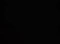 240882.jpg